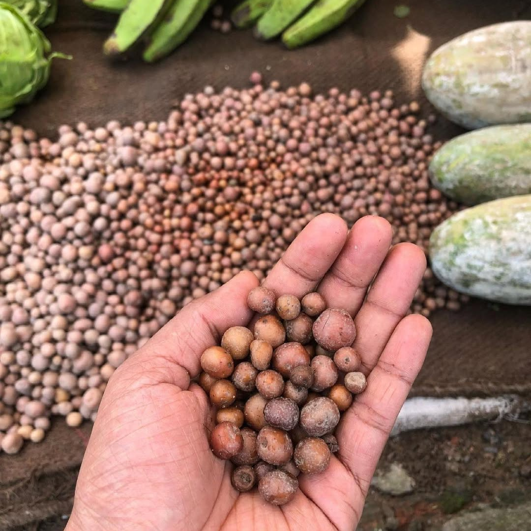 Xoru Alu (ছৰু আলু)